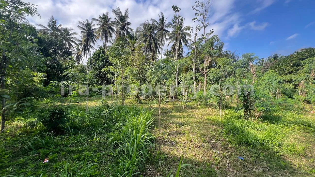 Land · Kuta Mandalika · photo 4 of 17 Ocean-View Land Plots in Prabu Areguling near Kuta Mandalika - 537 - 4