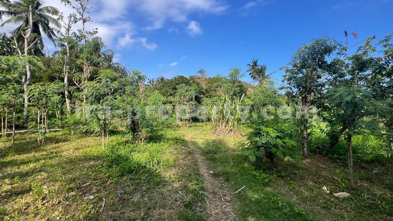 Land · Kuta Mandalika · photo 5 of 17 Ocean-View Land Plots in Prabu Areguling near Kuta Mandalika - 537 - 5