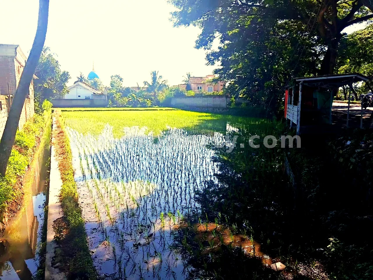 Land · West Lombok Area · photo 1 of 9 Prime Roadside Land on Kuripan Bypass – Direct Access to Lombok International Airport - 414 - 1