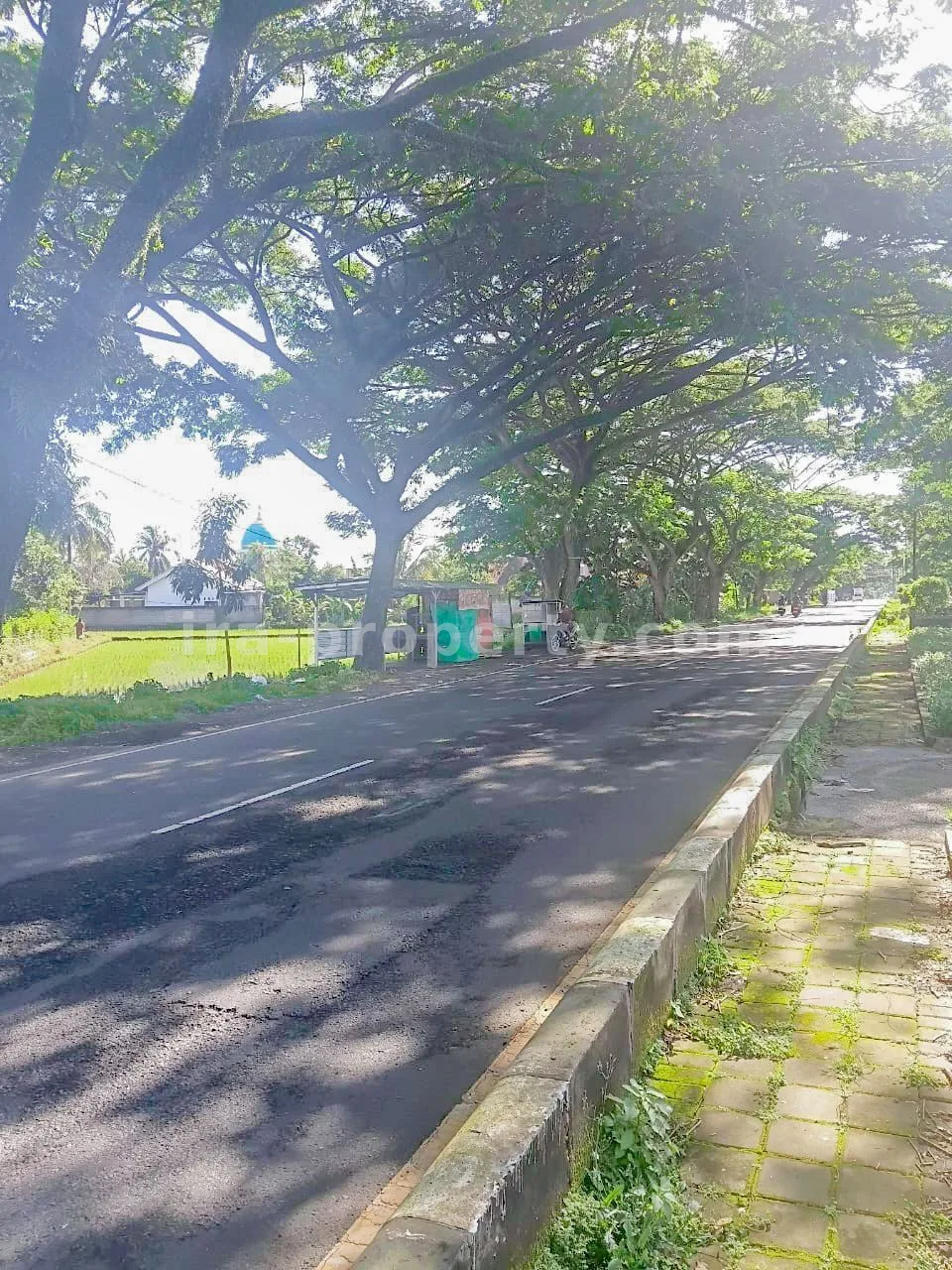Land · West Lombok Area · photo 2 of 9 Prime Roadside Land on Kuripan Bypass – Direct Access to Lombok International Airport - 414 - 2