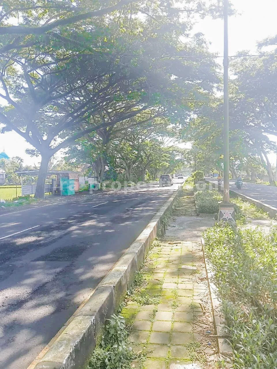Land · West Lombok Area · photo 3 of 9 Prime Roadside Land on Kuripan Bypass – Direct Access to Lombok International Airport - 414 - 3