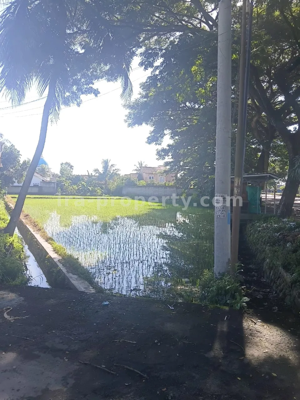 Land · West Lombok Area · photo 4 of 9 Prime Roadside Land on Kuripan Bypass – Direct Access to Lombok International Airport - 414 - 4