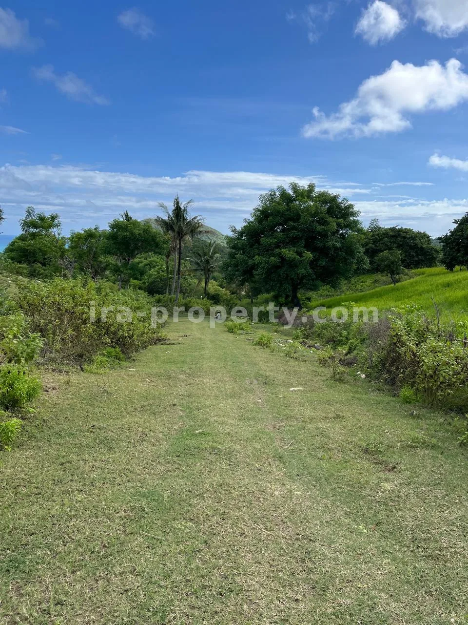Premium Hill Land with Ocean View – Mawun near Kuta Mandalika - 547 - 10