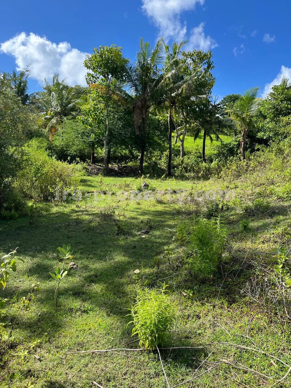 Premium Hill Land with Ocean View – Mawun near Kuta Mandalika - 547 - 12
