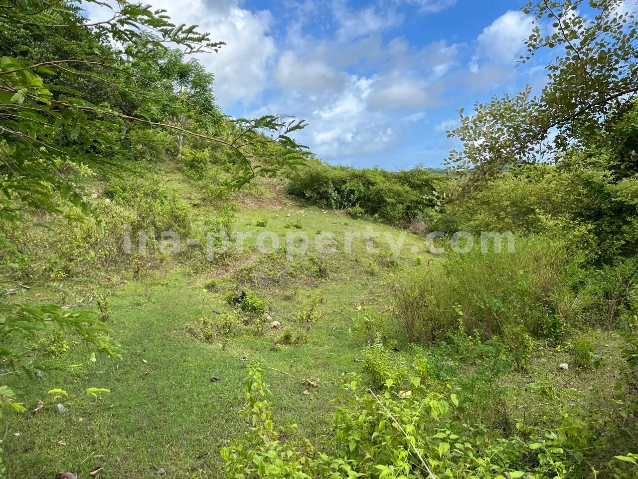 Land · Kuta Mandalika · photo 2 of 13 Premium Hill Land with Ocean View – Mawun near Kuta Mandalika - 547 - 2