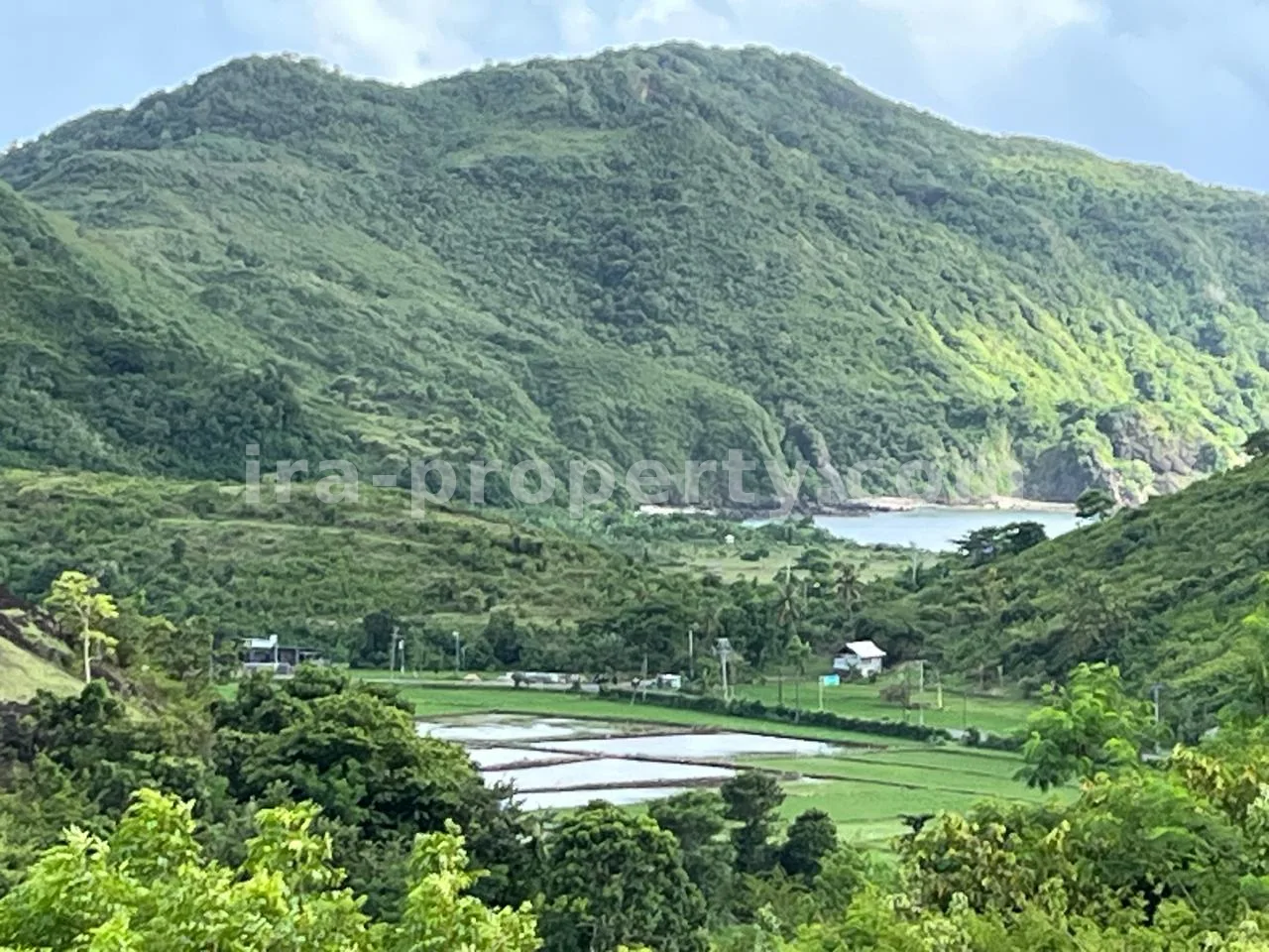 Land · Kuta Mandalika · photo 5 of 13 Premium Hill Land with Ocean View – Mawun near Kuta Mandalika - 547 - 5