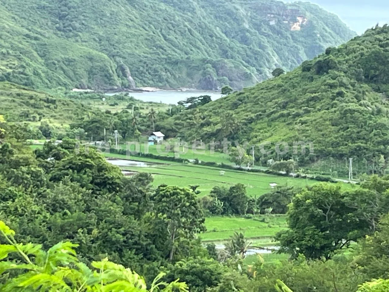 Premium Hill Land with Ocean View – Mawun near Kuta Mandalika - 547 - 7