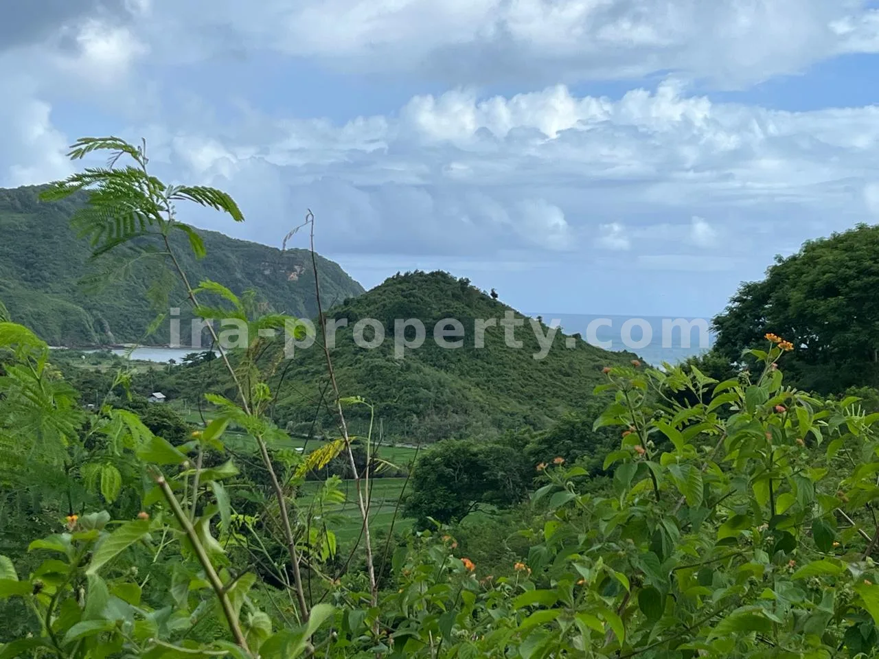 Premium Hill Land with Ocean View – Mawun near Kuta Mandalika - 547 - 9