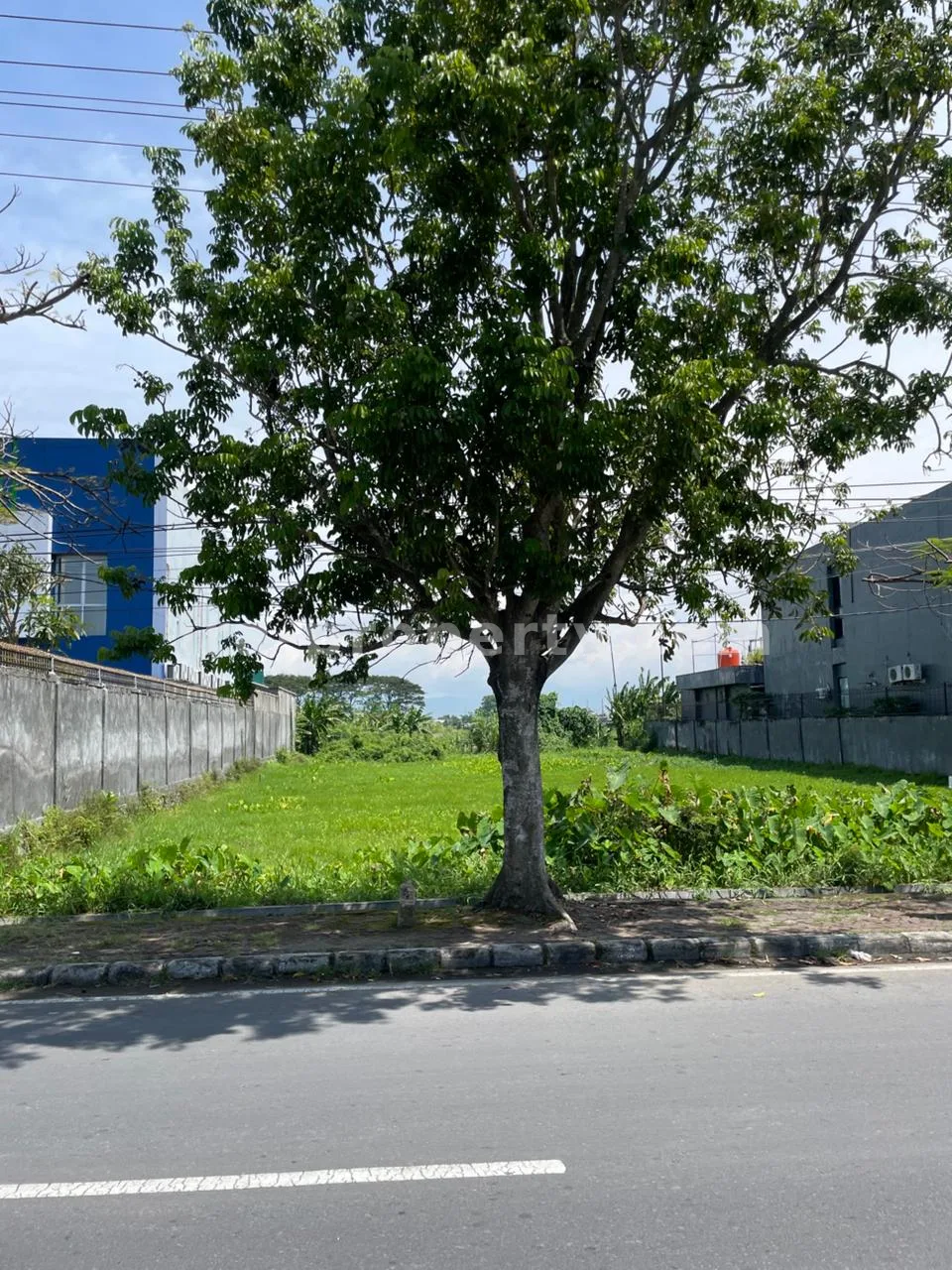 Prime Roadside Land for Sale – Lingkar Selatan, Mataram - 518 - 8