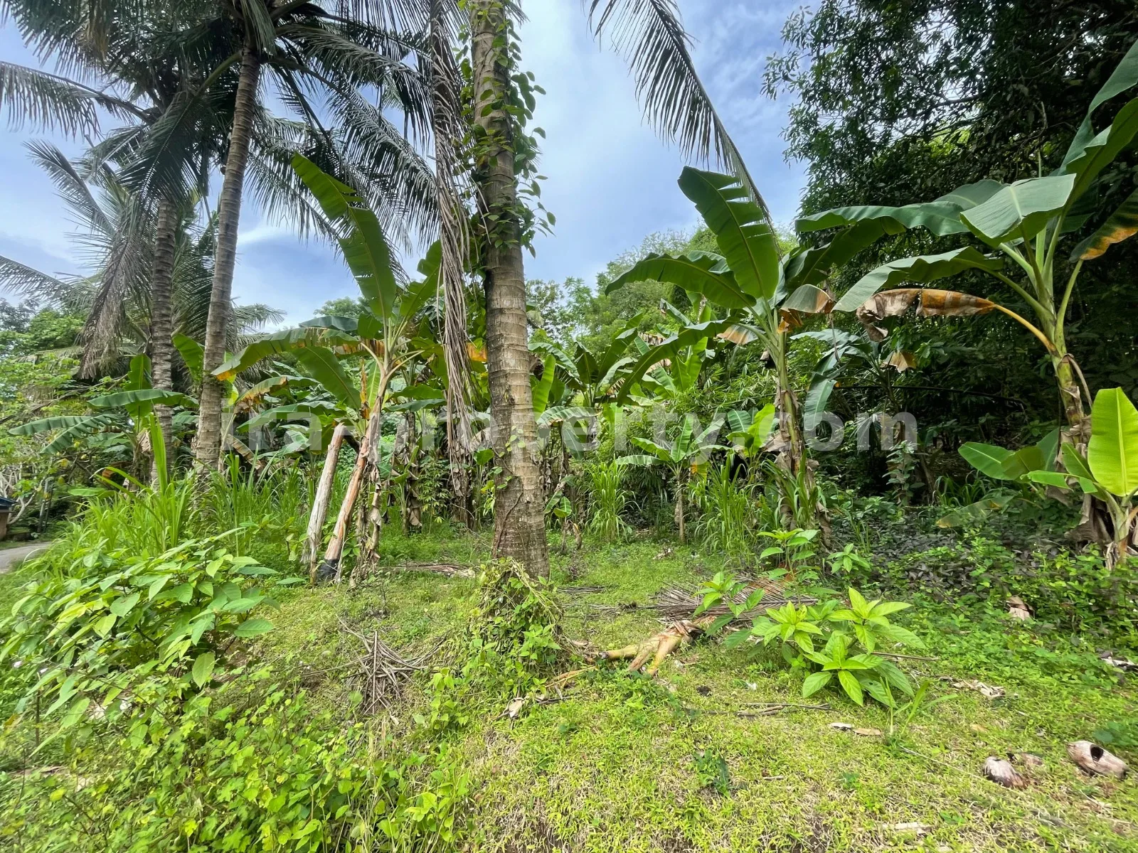 Land · Kuta Mandalika · photo 1 of 10 Hilltop Ocean View Land in Areguling – Near Kuta Mandalika - 548-2 - 1