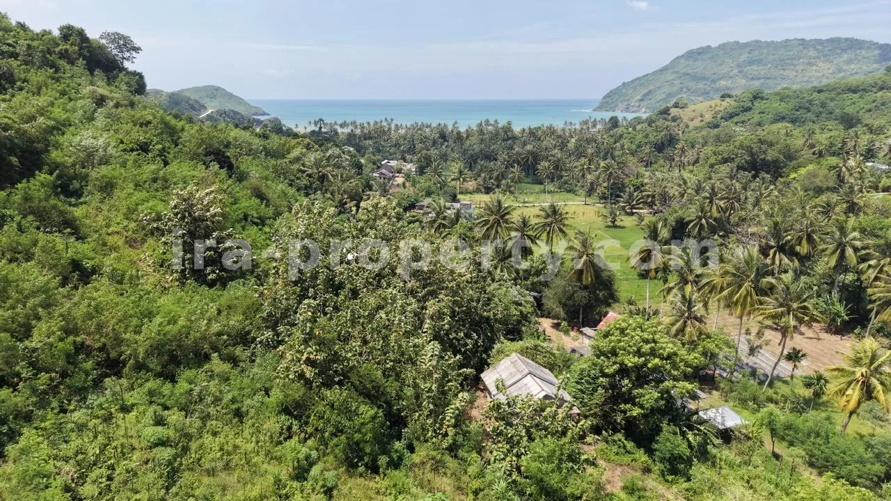Land · Kuta Mandalika · photo 4 of 10 Hilltop Ocean View Land in Areguling – Near Kuta Mandalika - 548 - 4