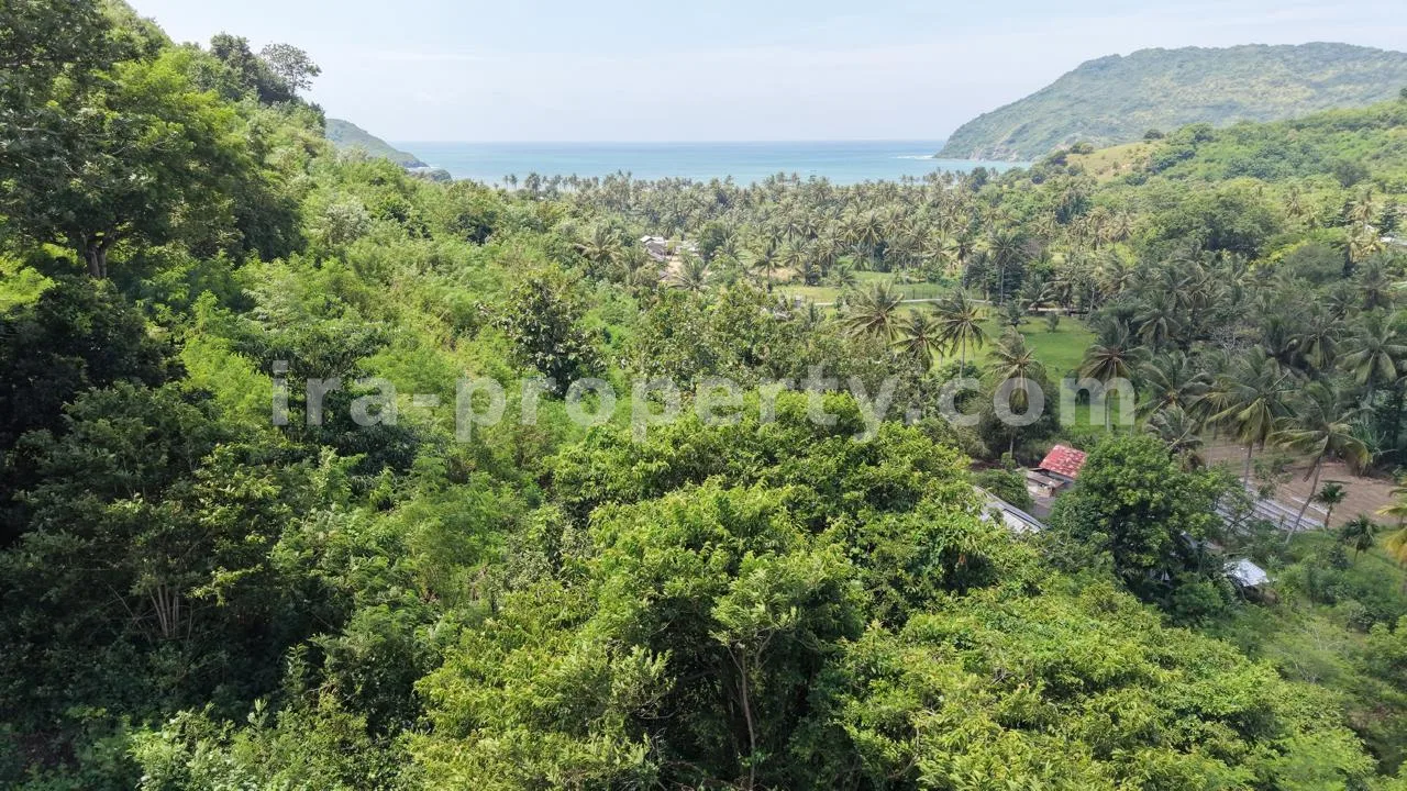 Hilltop Ocean View Land in Areguling – Near Kuta Mandalika - 548 - 7