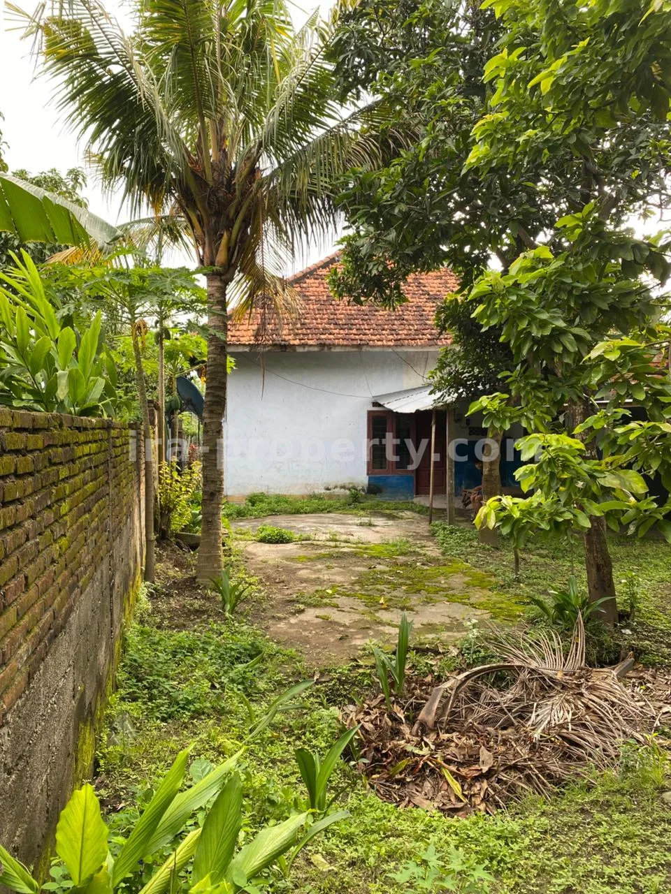 Rumah Dijual di Pejeruk – Ampenan, Mataram - 1011 - 14