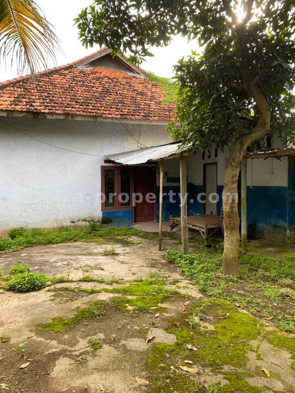 Rumah · Kota Mataram · foto 4 dari 16 Rumah Dijual di Pejeruk – Ampenan, Mataram - 1011 - 4
