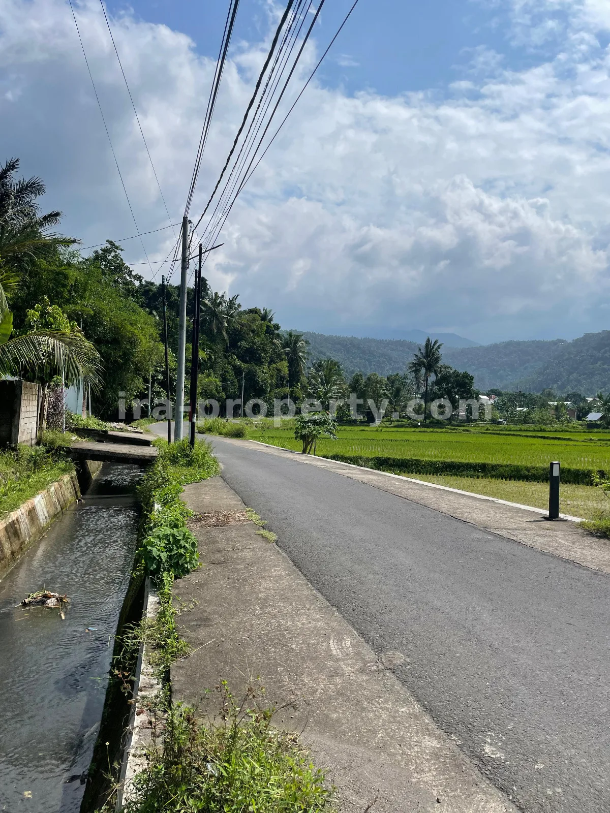 Tanah Pemandangan Sawah di Gunung Sari untuk Villa Pribadi - 420-2 - 12