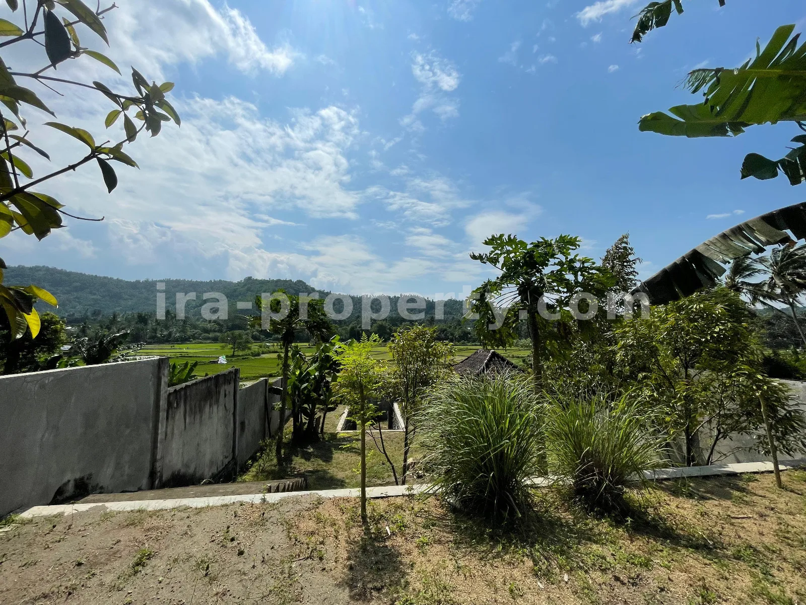 Villa & Hotel · Area Lombok Barat · foto 4 dari 16 Tanah Pemandangan Sawah di Gunung Sari untuk Villa Pribadi - 420-2 - 4