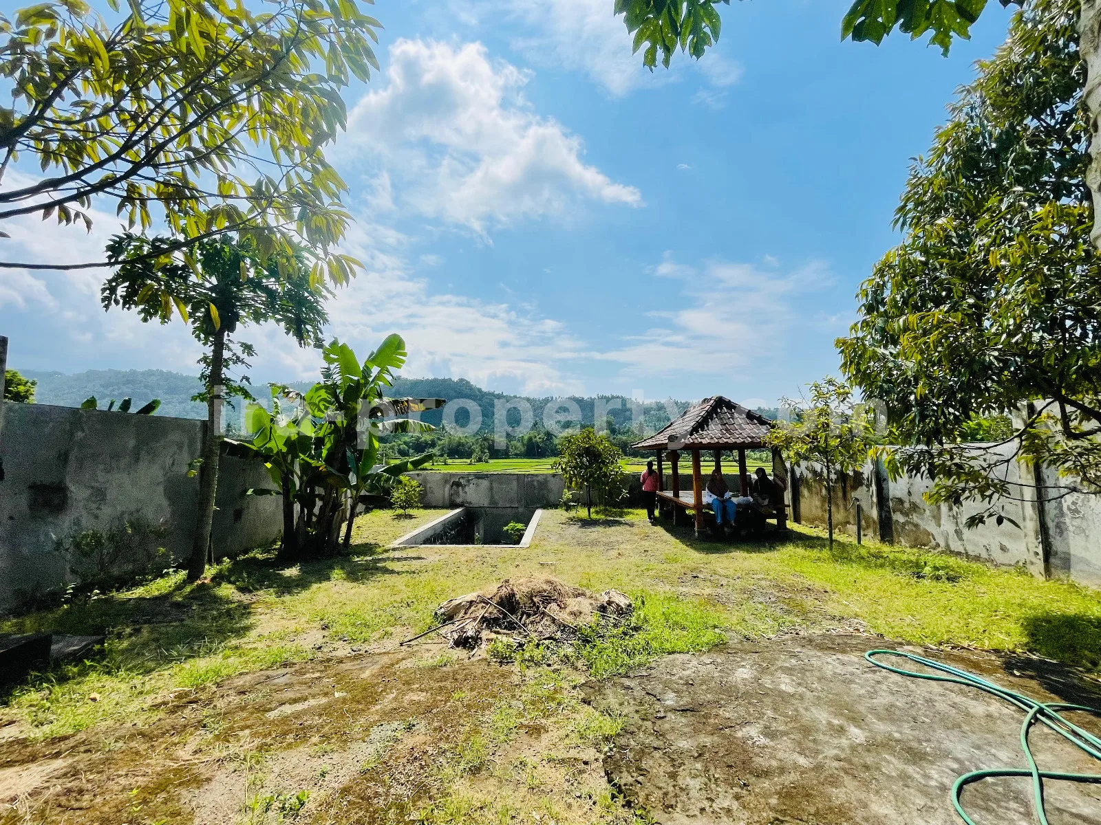 Tanah Pemandangan Sawah di Gunung Sari untuk Villa Pribadi - 420-2 - 8