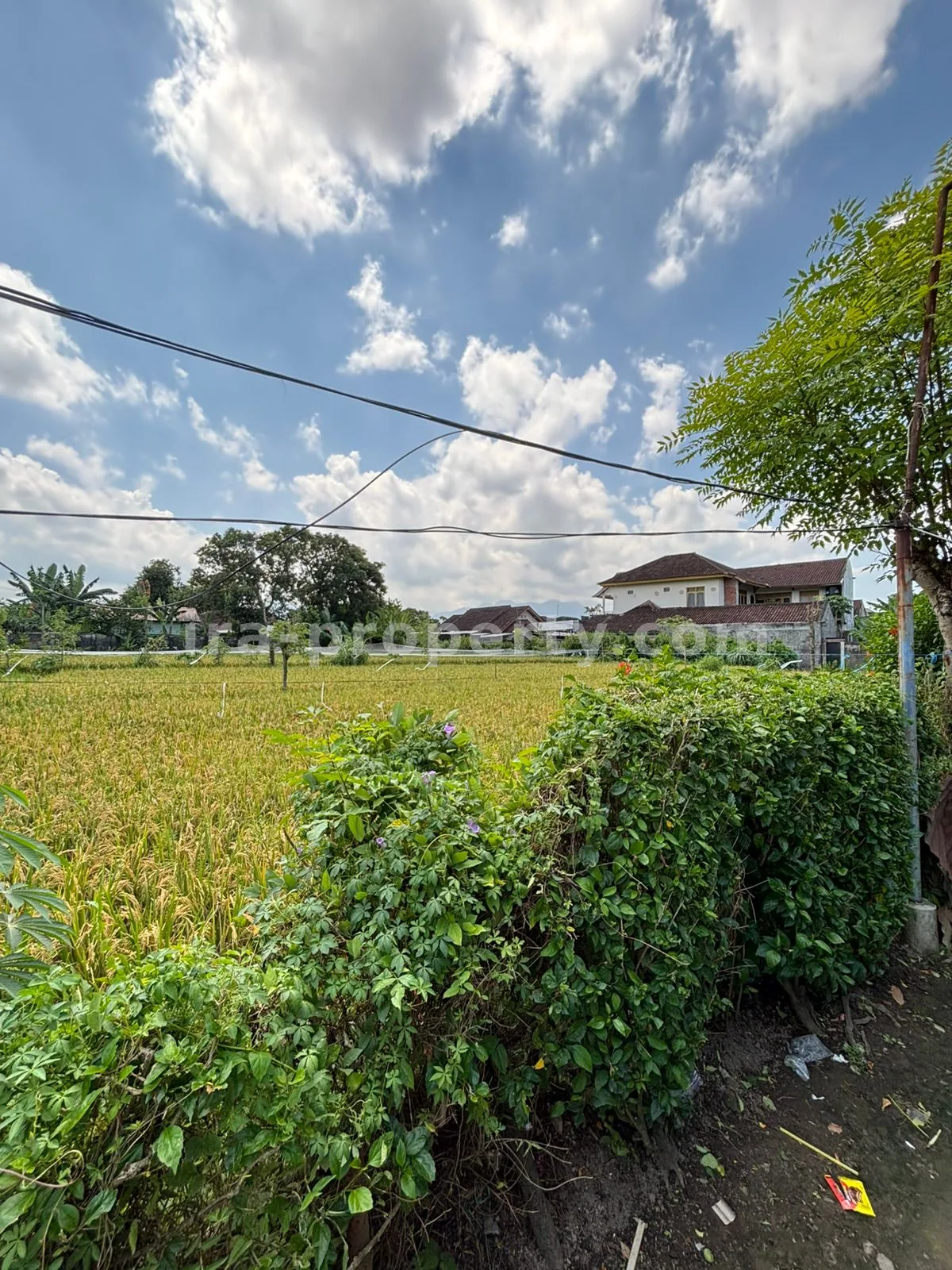 Rumah · Kota Mataram · foto 3 dari 6 Rumah Strategis Harga Terjangkau di Udayana, Mataram - 1017 - 3