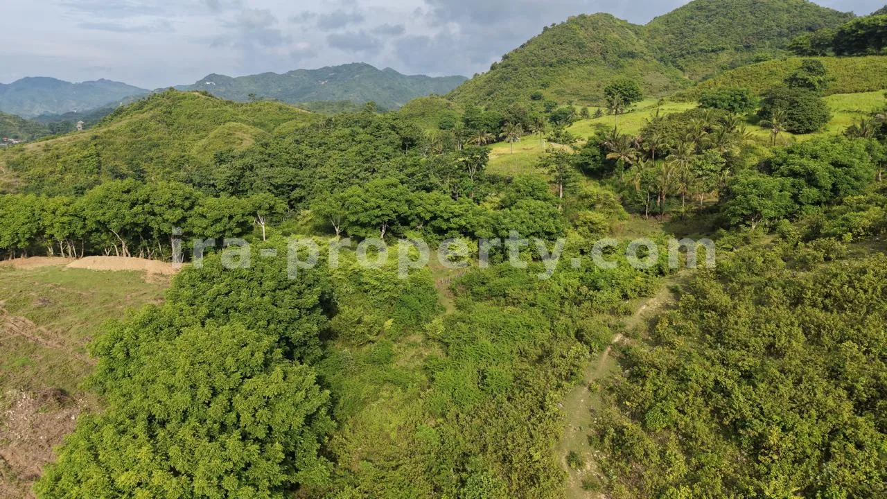 Tanah · Kuta Mandalika · foto 3 dari 6 Tanah Bukit 5 Are dengan Pemandangan Laut di Mawun - 547-2 - 3