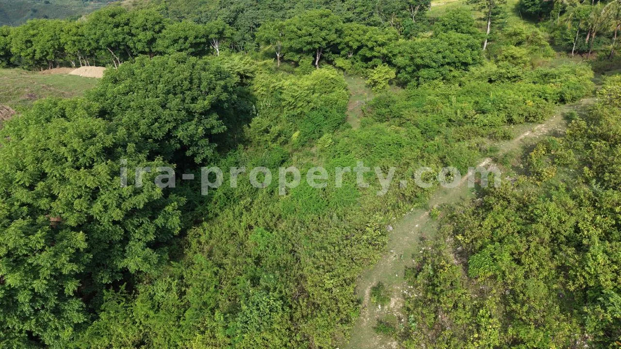 Tanah Bukit 5 Are dengan Pemandangan Laut di Mawun - 547-2 - 6