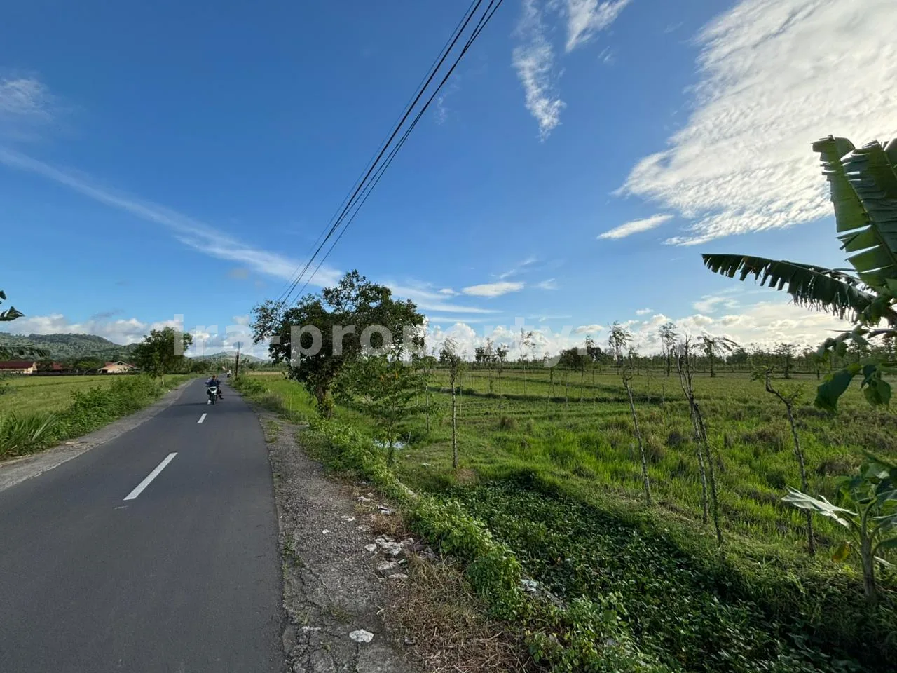 Massive 7-Hectare Strategic Land Holding – Direct Hotmix Road Access Near Lombok International Airport - 94-2 - 11