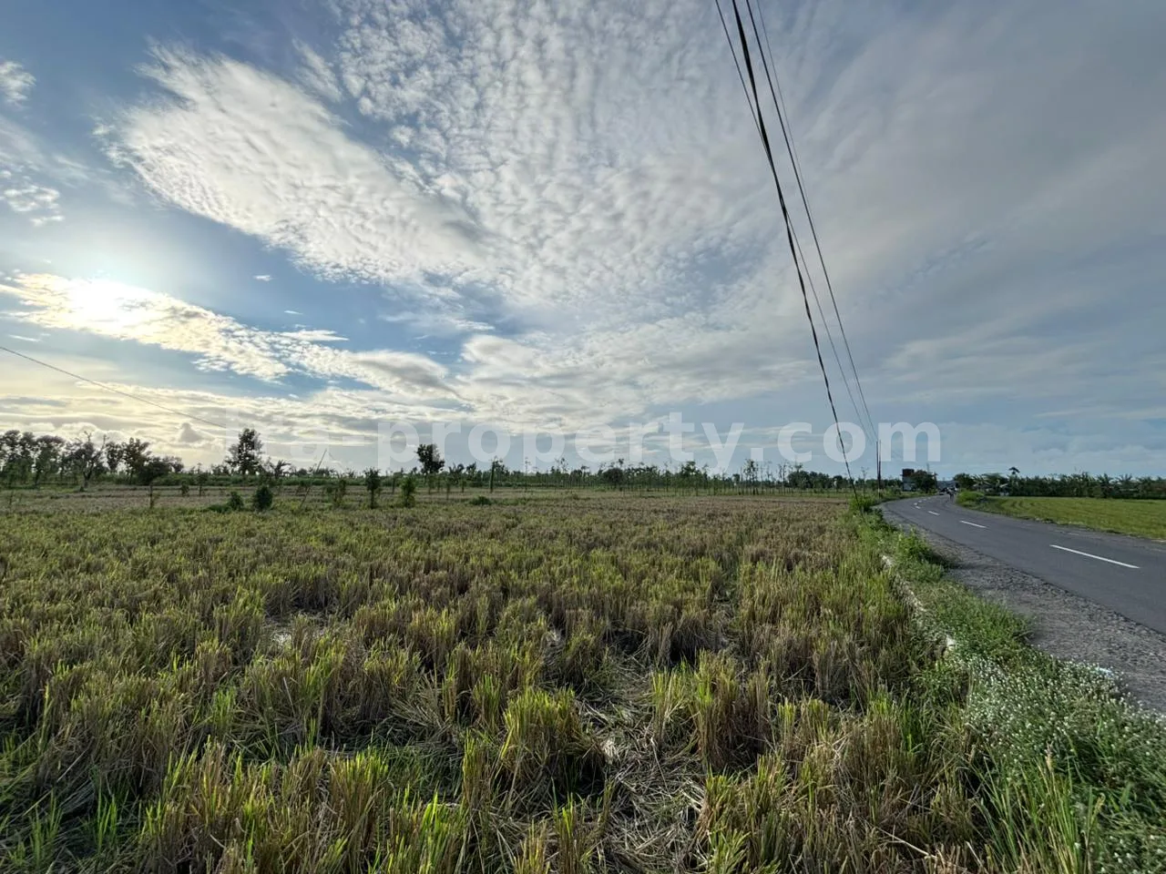 Land · West Lombok Area · photo 2 of 11 Massive 7-Hectare Strategic Land Holding – Direct Hotmix Road Access Near Lombok International Airport - 94-2 - 2