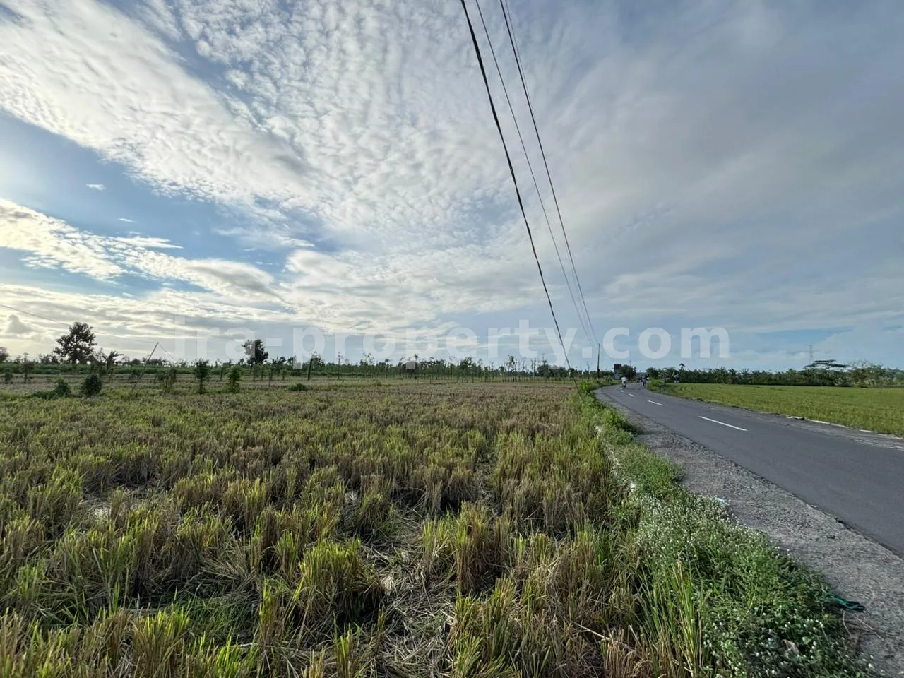 Land · West Lombok Area · photo 3 of 11 Massive 7-Hectare Strategic Land Holding – Direct Hotmix Road Access Near Lombok International Airport - 94-2 - 3