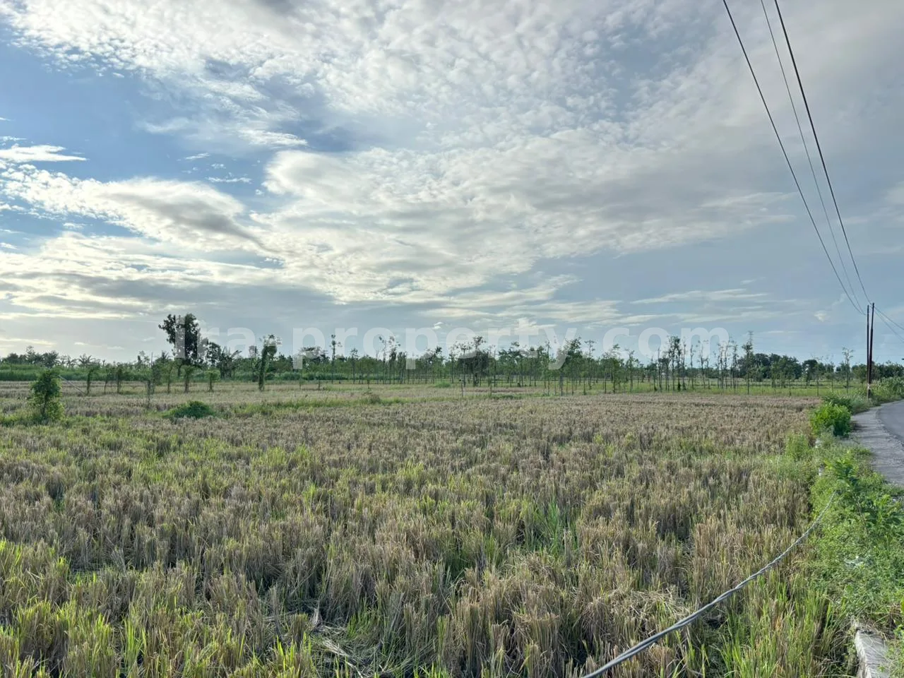 Land · West Lombok Area · photo 4 of 11 Massive 7-Hectare Strategic Land Holding – Direct Hotmix Road Access Near Lombok International Airport - 94-2 - 4