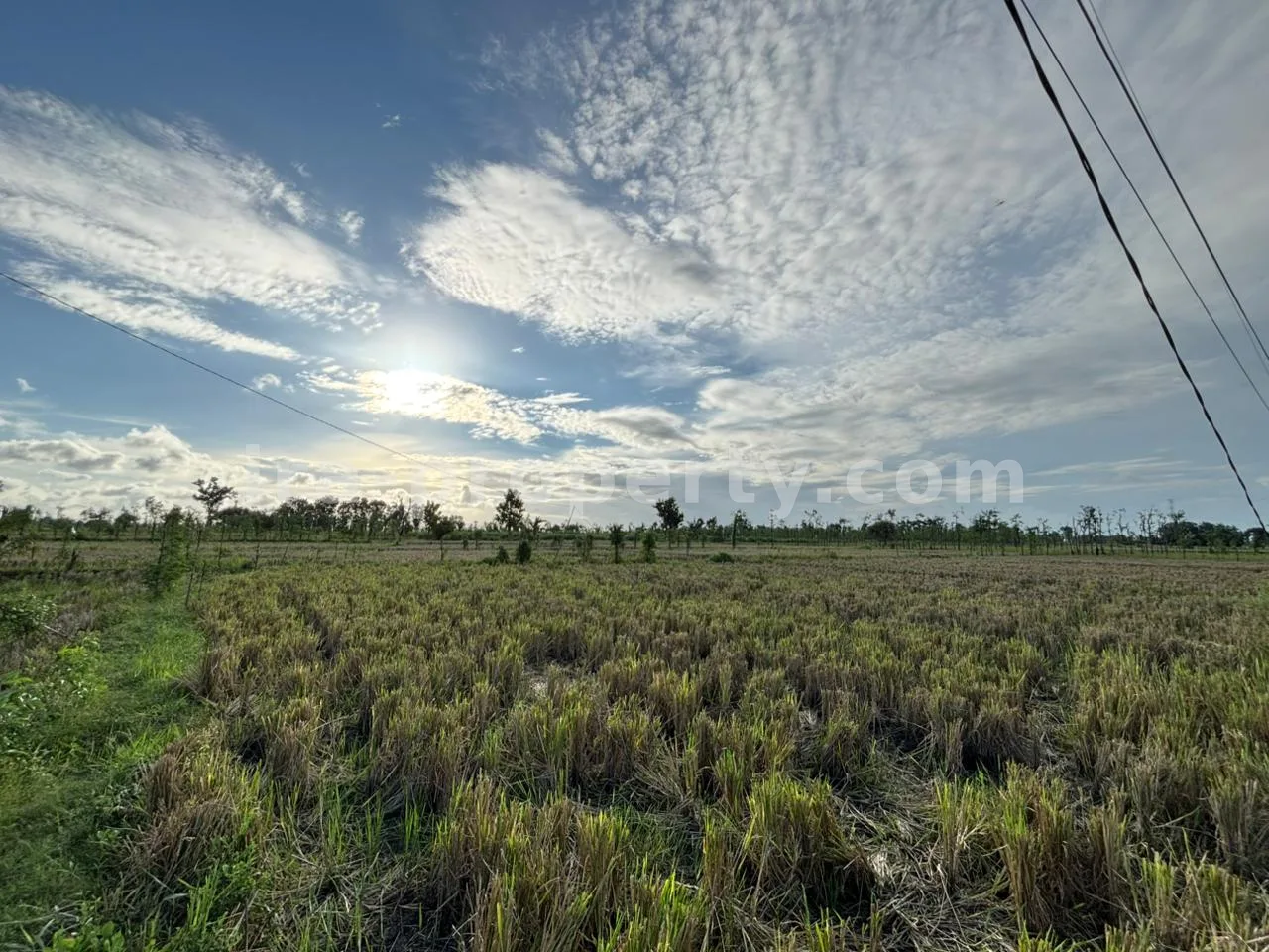Land · West Lombok Area · photo 5 of 11 Massive 7-Hectare Strategic Land Holding – Direct Hotmix Road Access Near Lombok International Airport - 94-2 - 5