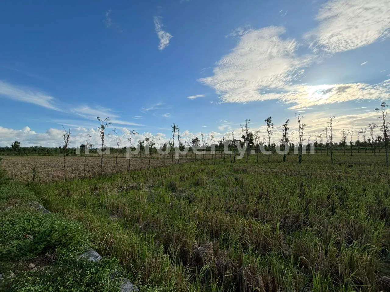 Massive 7-Hectare Strategic Land Holding – Direct Hotmix Road Access Near Lombok International Airport - 94-2 - 6