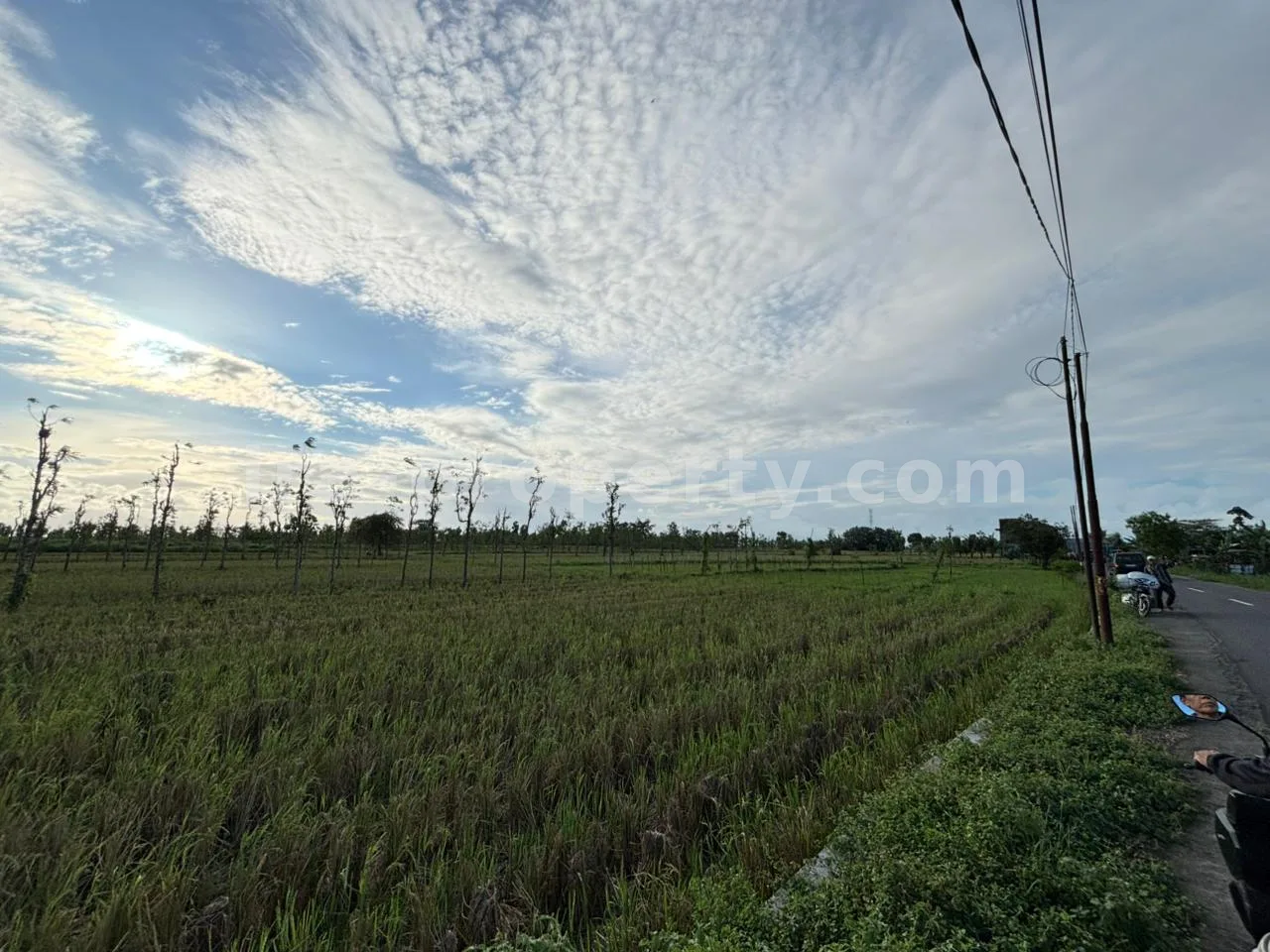 Massive 7-Hectare Strategic Land Holding – Direct Hotmix Road Access Near Lombok International Airport - 94-2 - 8