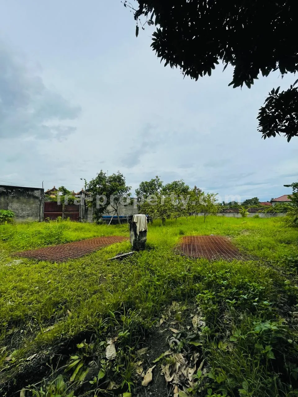 Premium Warehouse Complex for Rent – Strategic Distribution Hub in Central Mataram - 80 - 10