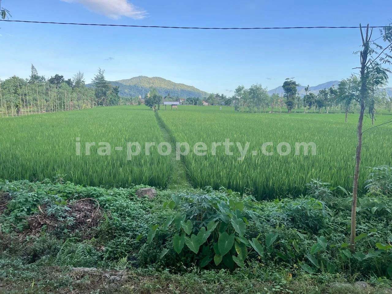 Ruko & Komersial · Area Lombok Barat · foto 5 dari 6 Tanah Komersial & Industri 1,05-Hektar – Depan Bypass Gerung-Kuripan, Lombok Barat - 422-2 - 5