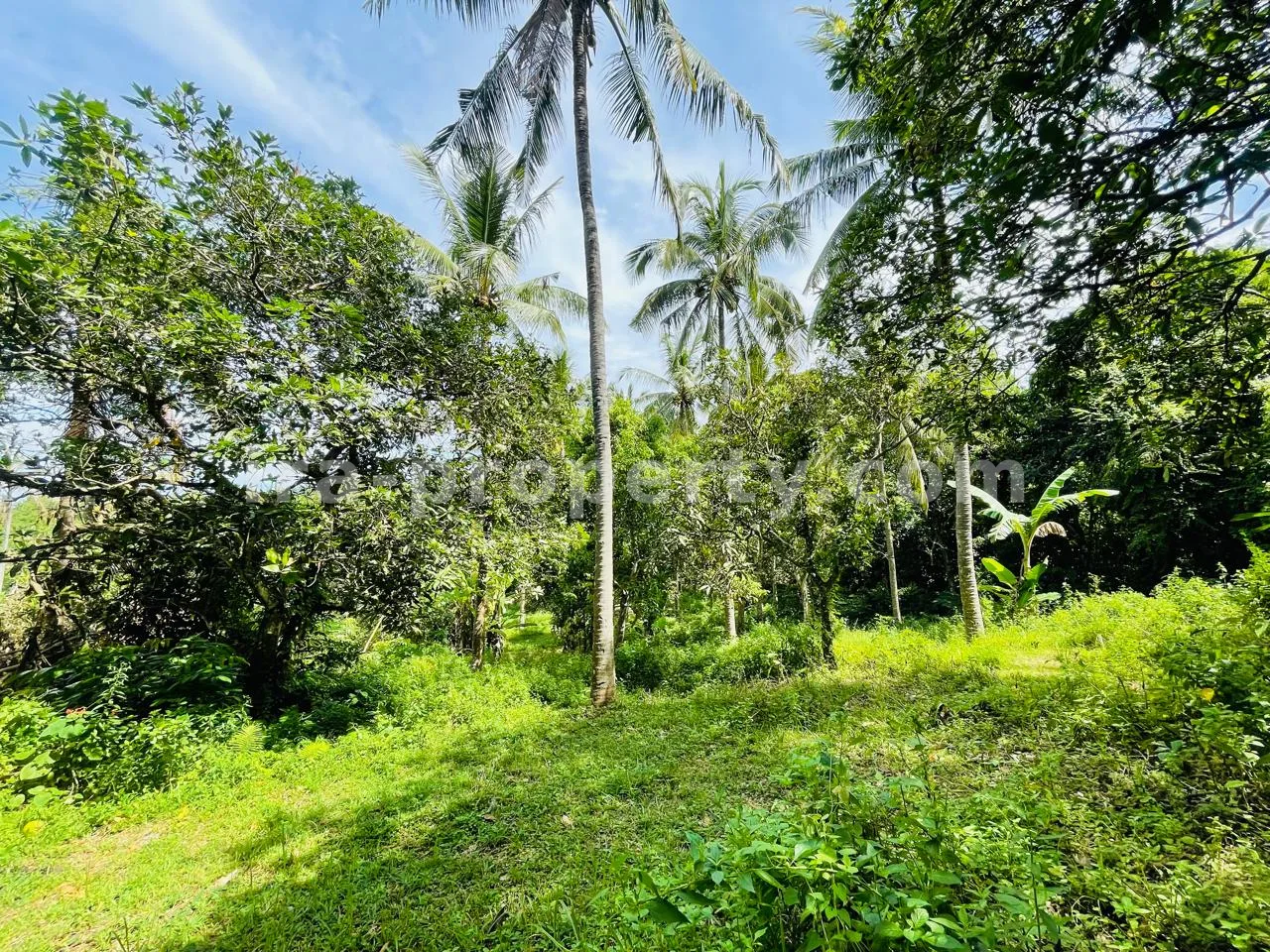 Villa & Hotel · Senggigi · foto 1 dari 8 Tanah Strategis dengan Pemandangan Laut di Melase, Senggigi - 398-2 - 1