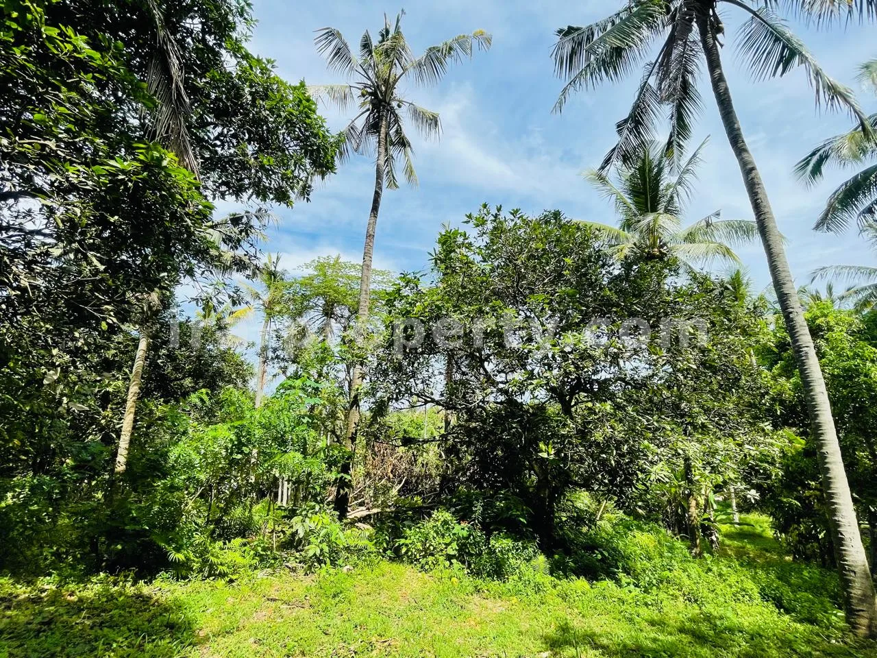 Villa & Hotel · Senggigi · foto 5 dari 8 Tanah Strategis dengan Pemandangan Laut di Melase, Senggigi - 398-2 - 5