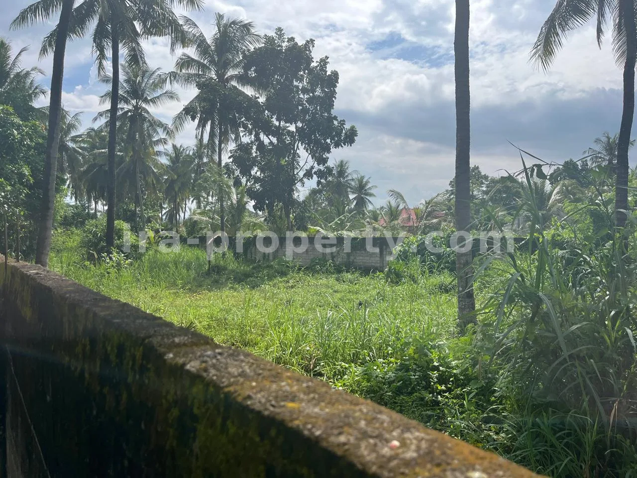Villa & Hotel · Kuta Mandalika · photo 1 of 5 Secure 1,000 m² Villa Plot Near Kuta Mandalika – Fully Fenced & Ready for Development - 554 - 1