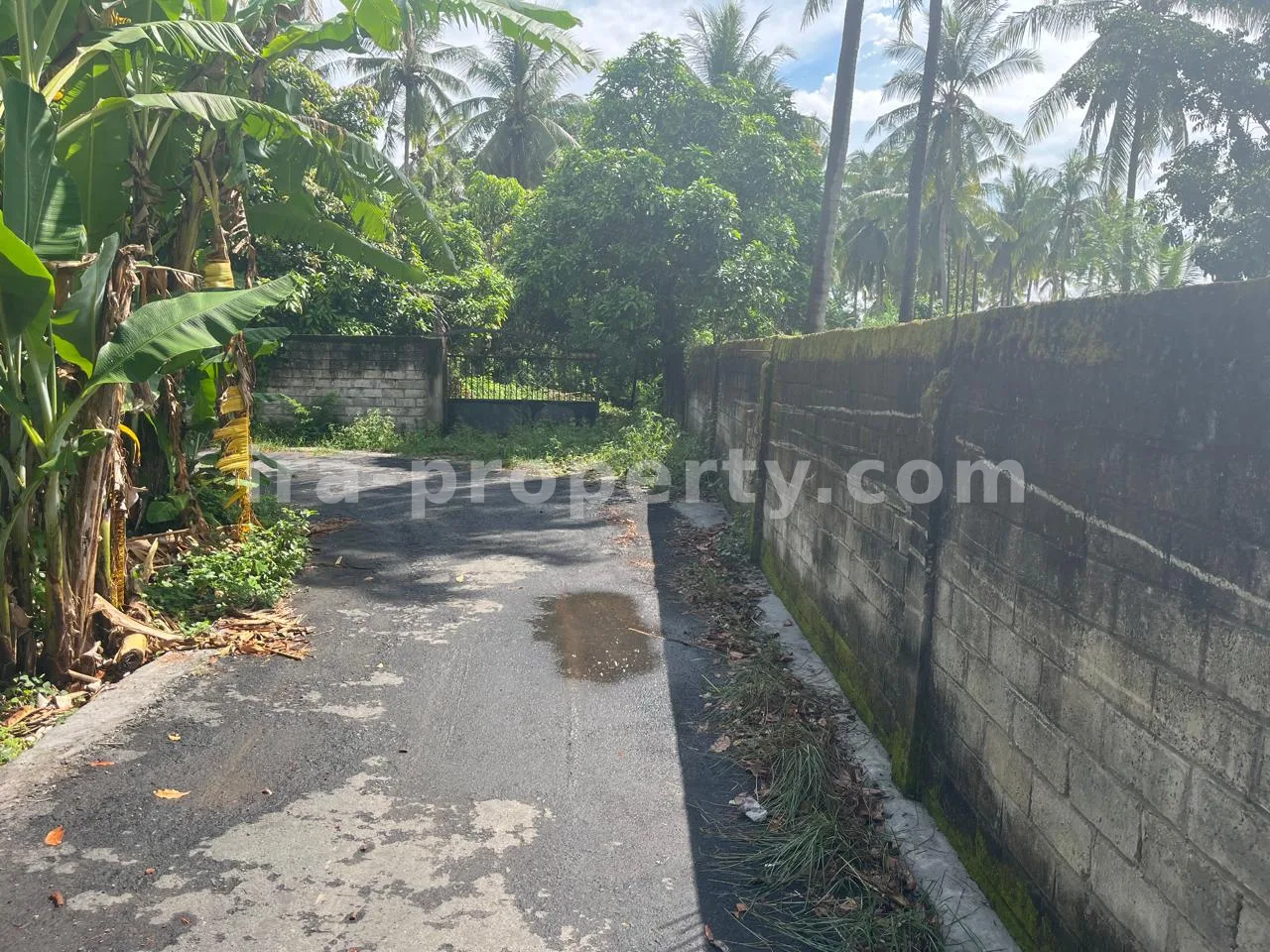 Villa & Hotel · Kuta Mandalika · photo 2 of 5 Secure 1,000 m² Villa Plot Near Kuta Mandalika – Fully Fenced & Ready for Development - 554 - 2