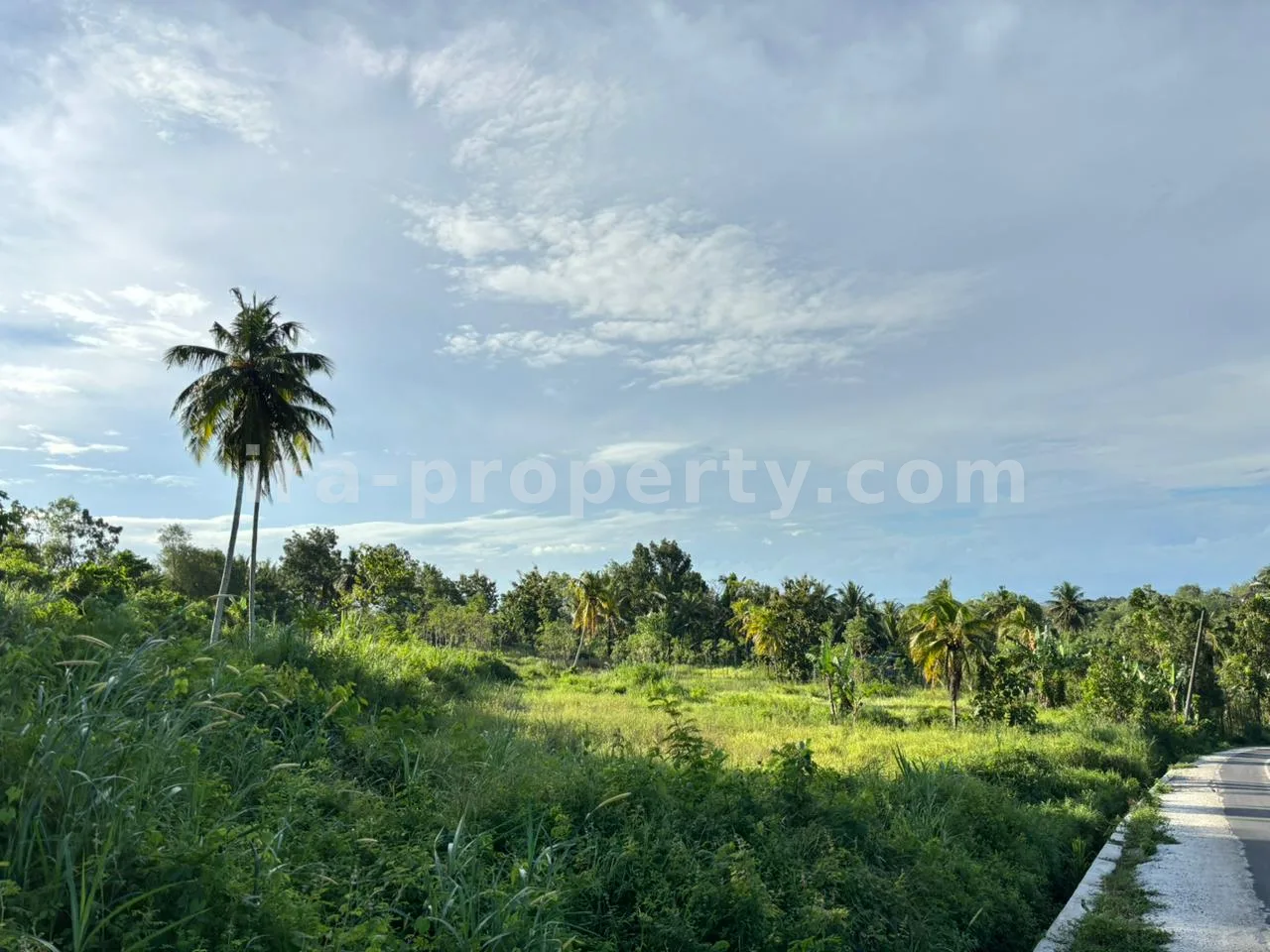 Tanah · Area Lombok Tengah · foto 2 dari 9 Tanah Strategis 50-Are Pinggir Jalan di Pengembur – Hanya Berjarak Beberapa Menit dari Bandara Lombok & Pantai Selatan - 95-2 - 2