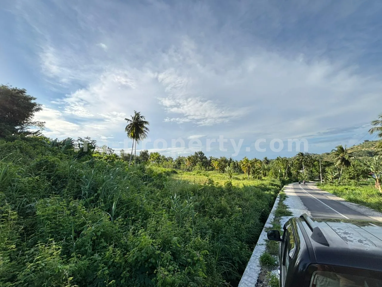 Tanah · Area Lombok Tengah · foto 3 dari 9 Tanah Strategis 50-Are Pinggir Jalan di Pengembur – Hanya Berjarak Beberapa Menit dari Bandara Lombok & Pantai Selatan - 95-2 - 3