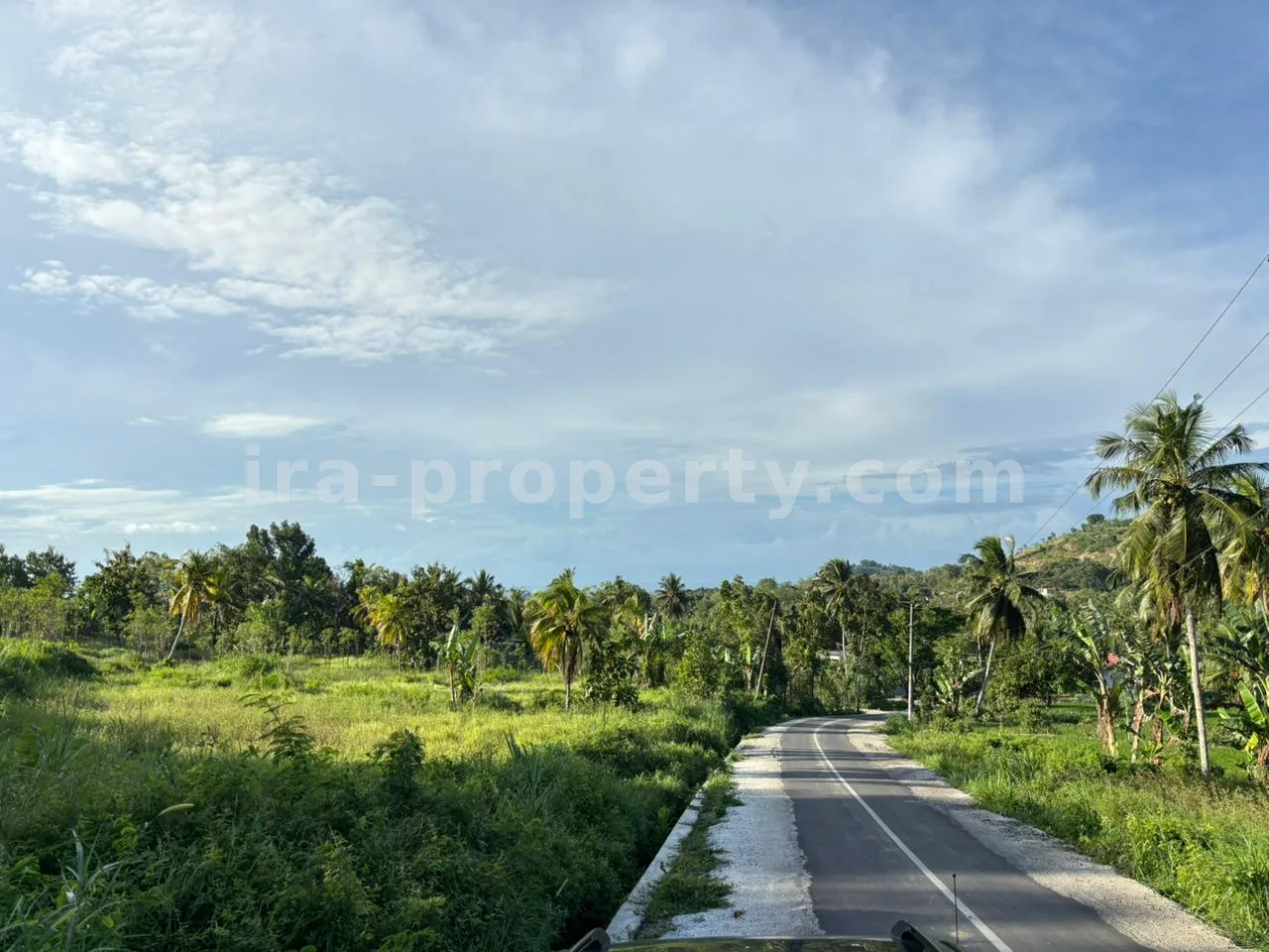Tanah · Area Lombok Tengah · foto 4 dari 9 Tanah Strategis 50-Are Pinggir Jalan di Pengembur – Hanya Berjarak Beberapa Menit dari Bandara Lombok & Pantai Selatan - 95-2 - 4