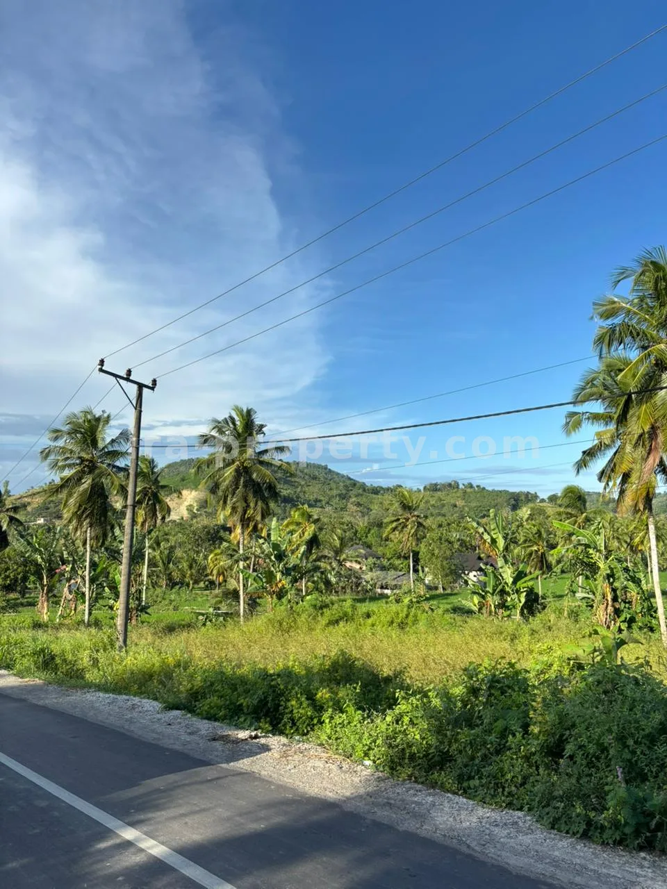 Tanah · Area Lombok Tengah · foto 5 dari 9 Tanah Strategis 50-Are Pinggir Jalan di Pengembur – Hanya Berjarak Beberapa Menit dari Bandara Lombok & Pantai Selatan - 95-2 - 5