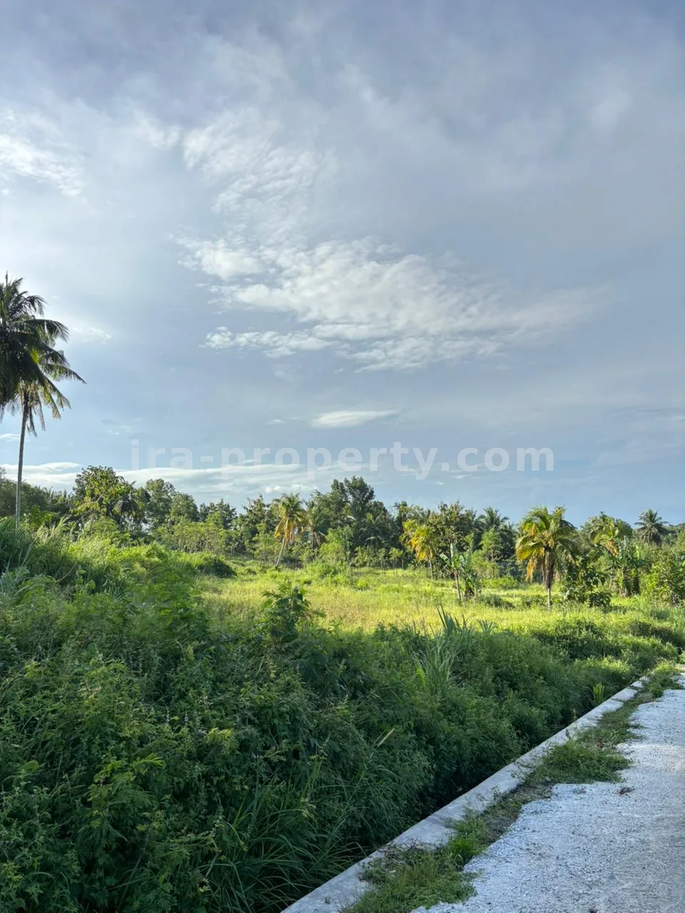 Tanah Strategis 50-Are Pinggir Jalan di Pengembur – Hanya Berjarak Beberapa Menit dari Bandara Lombok & Pantai Selatan - 95-2 - 8