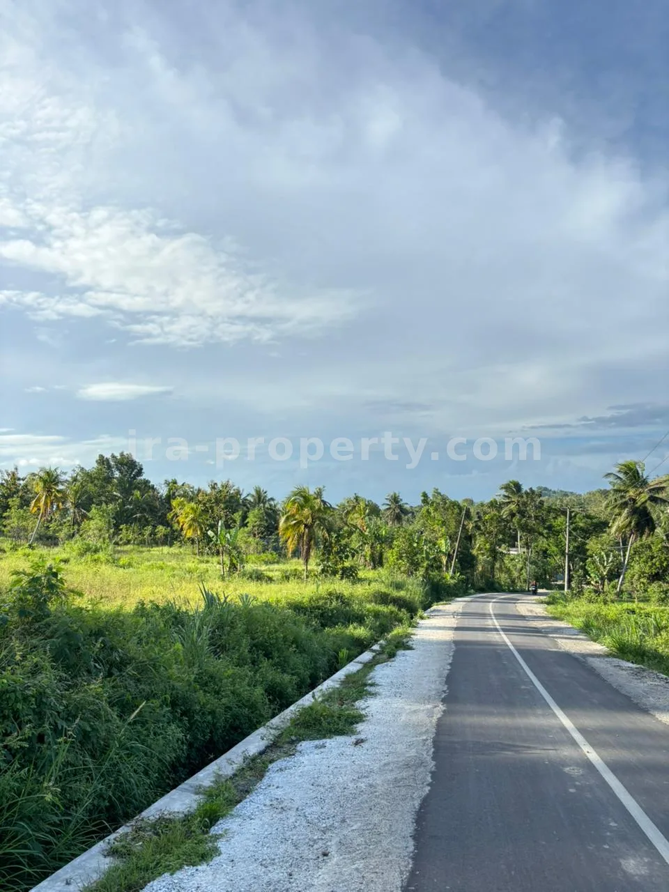 Tanah Strategis 50-Are Pinggir Jalan di Pengembur – Hanya Berjarak Beberapa Menit dari Bandara Lombok & Pantai Selatan - 95-2 - 9