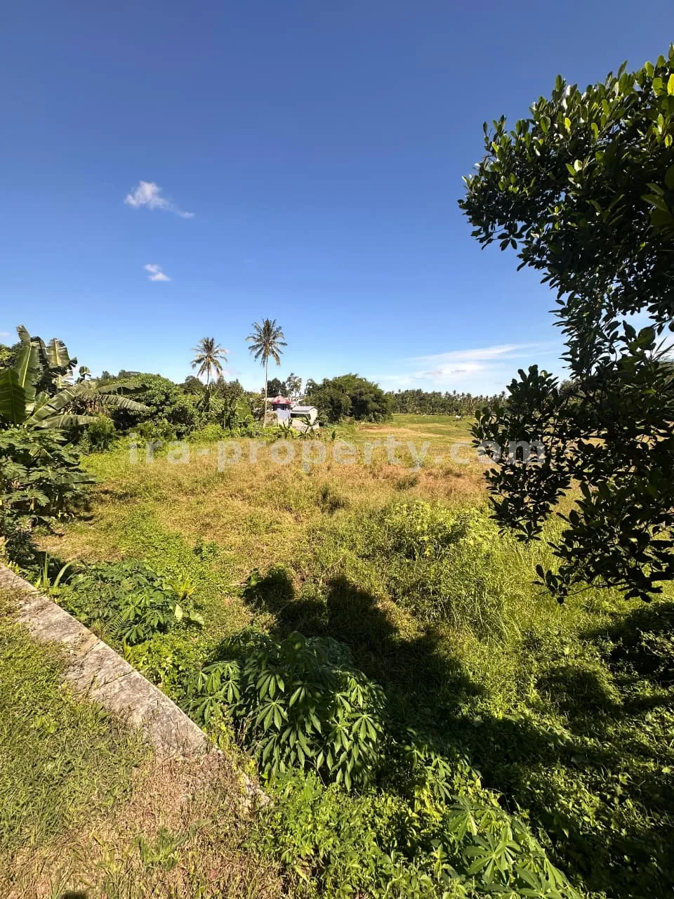 Land · Kuta Mandalika · photo 3 of 8 Main Road Land for Sale in Mantang, Central Lombok - 96-2 - 3