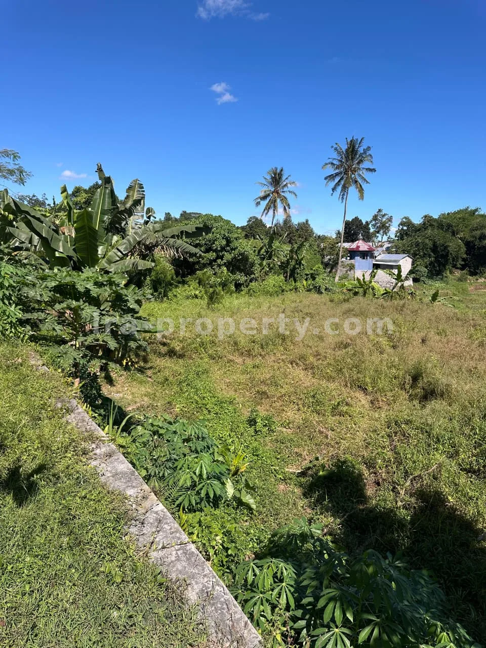 Land · Kuta Mandalika · photo 4 of 8 Main Road Land for Sale in Mantang, Central Lombok - 96-2 - 4