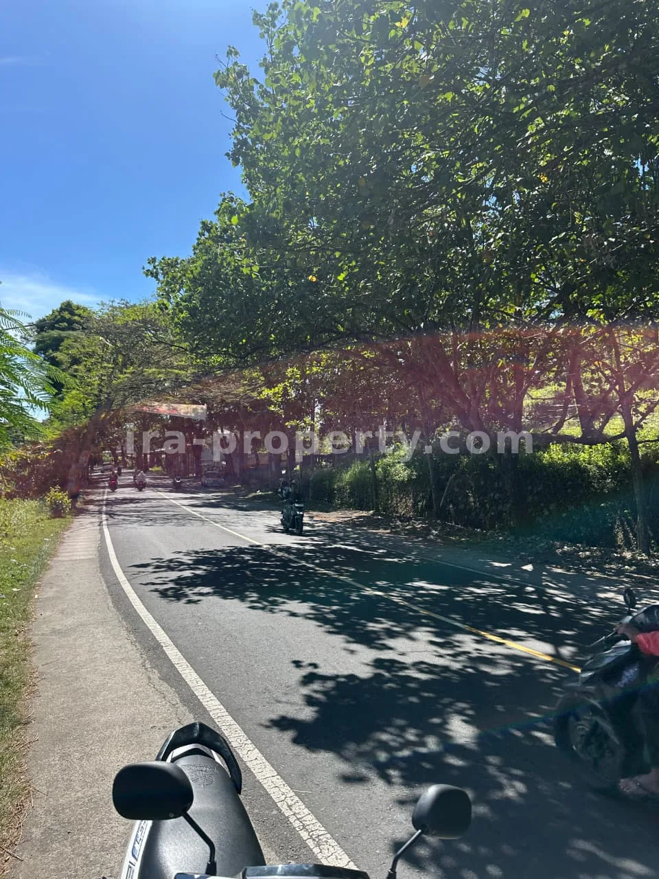 Land · Kuta Mandalika · photo 5 of 8 Main Road Land for Sale in Mantang, Central Lombok - 96-2 - 5