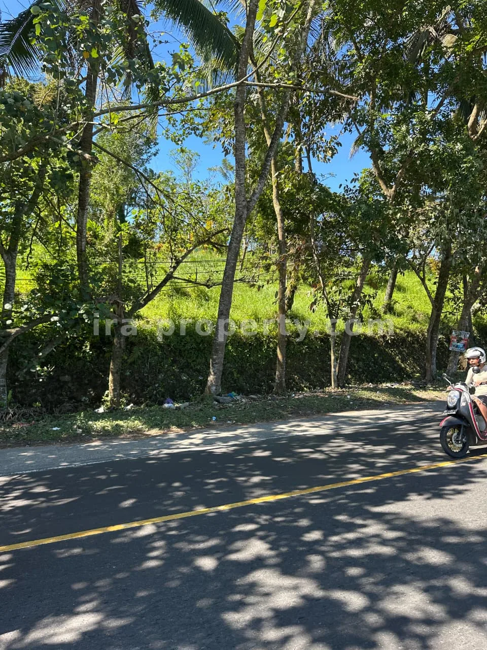 Main Road Land for Sale in Mantang, Central Lombok - 96-2 - 6