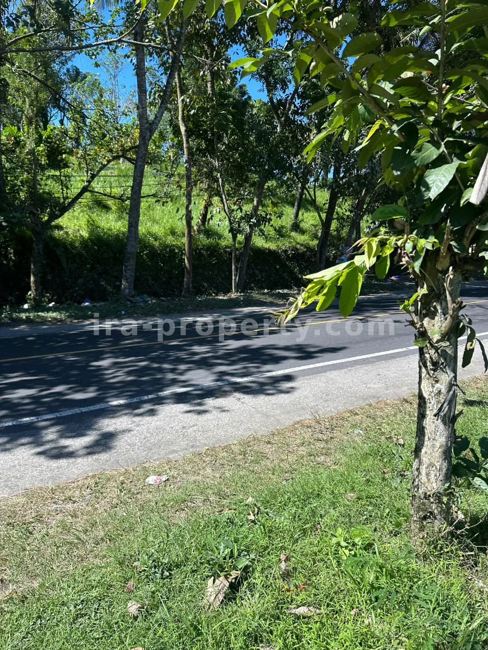 Main Road Land for Sale in Mantang, Central Lombok - 96-2 - 7