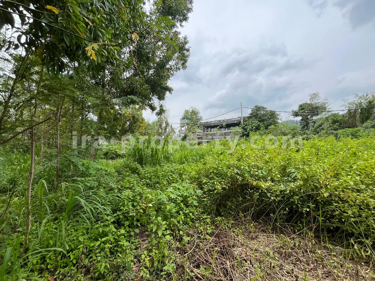 Tanah · Kuta Mandalika · foto 2 dari 5 Tanah Premium di Pusat Kuta Mandalika, Lombok - 546 - 2