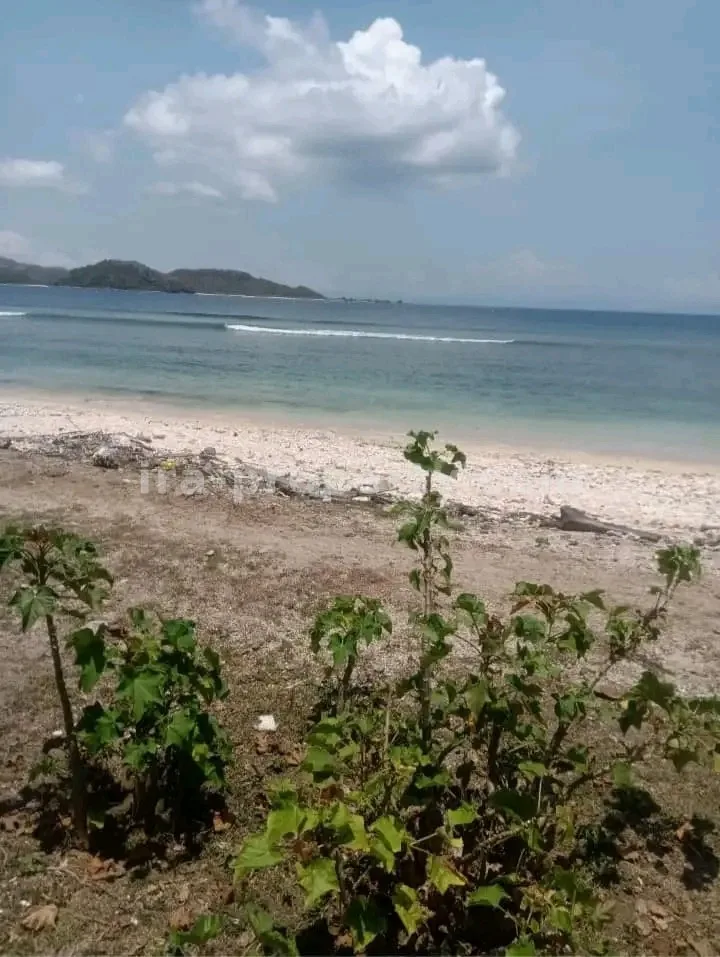 Tanah · Kepulauan Gili · foto 3 dari 4 Tanah Pantai Depan Dijual di Gili Asahan, Lombok – Investasi Pantai Putih Pasir Terbaik - 110-2 - 3